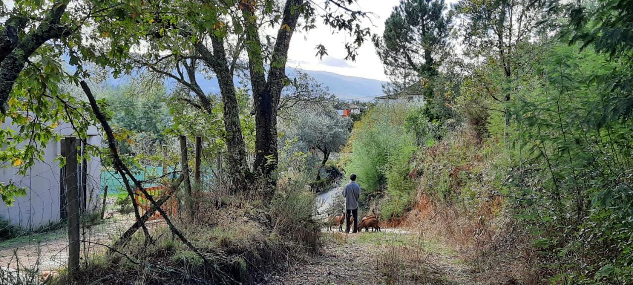 Adore Portugal Bungalow Natureza & Vista De Serra Lousa  Bagian luar foto